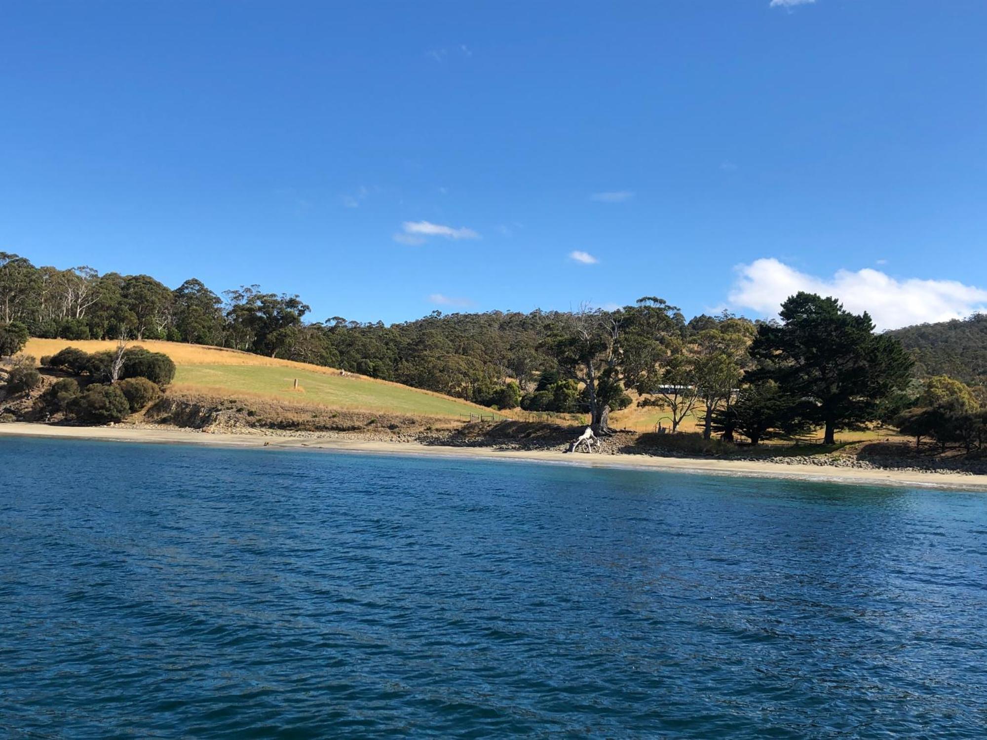 Barnes Bay The Woolshed And Farmhouse Blue, Bruny Island מראה חיצוני תמונה